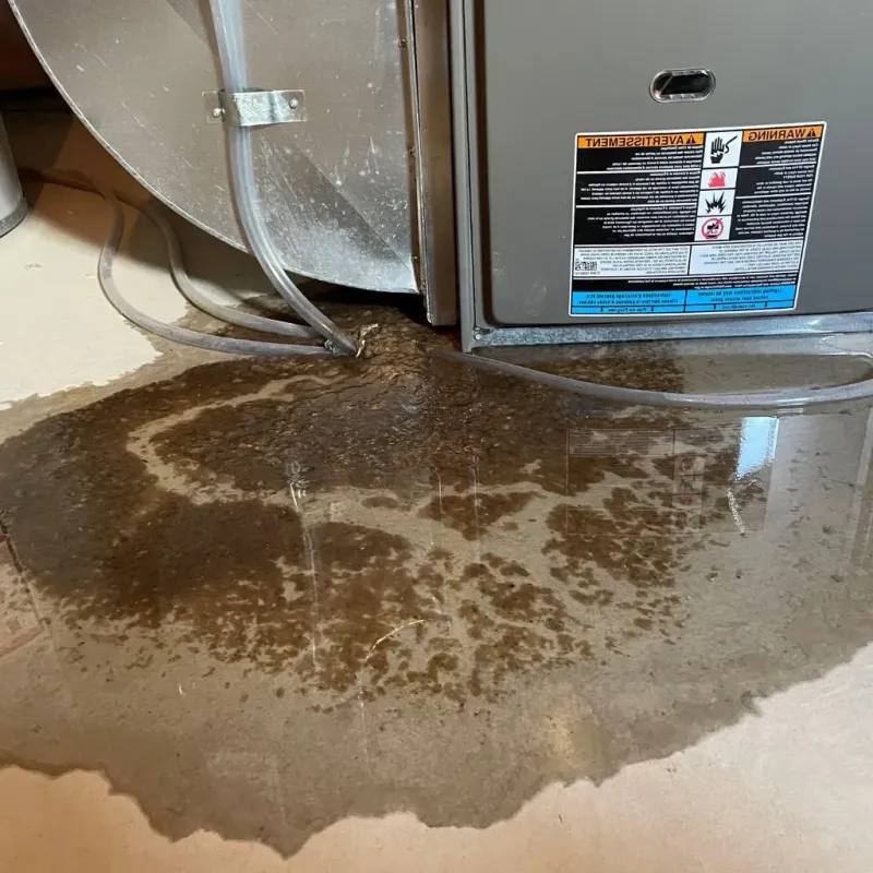 Pipe Burst and Leak Restoration in Fargo, ND